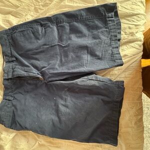 Banana Republic Striped Blue Emerson Shorts